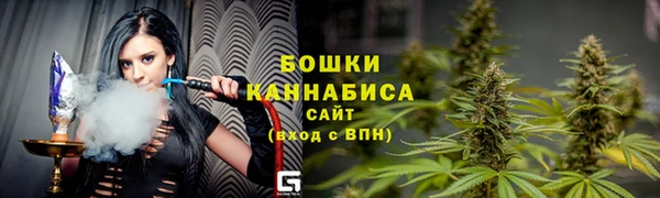 винт Инсар