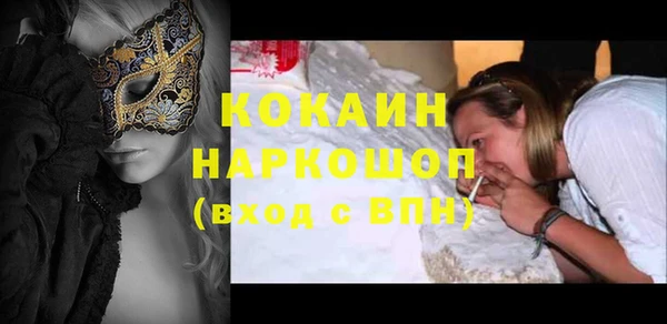 винт Инсар