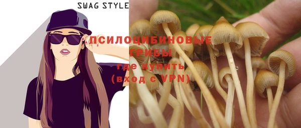 винт Инсар