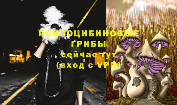 MDMA Premium VHQ Инта