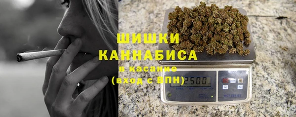 винт Инсар
