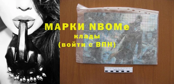 винт Инсар