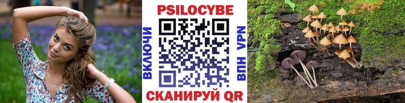 Псилоцибиновые грибы прущие грибы  Купить  Заозёрск 